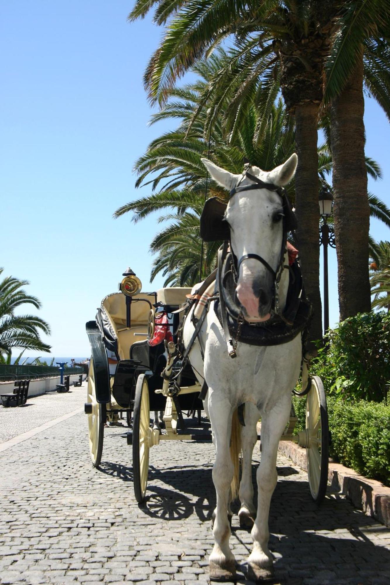 Beachfront * Marbella